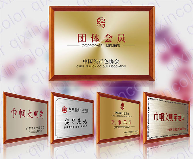 公司獲得的榮譽、獎牌